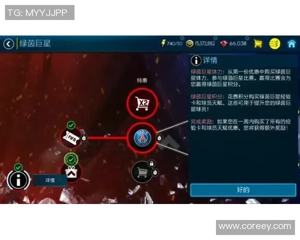 绿茵巨星闪耀时刻全面解析世界足球传奇人物